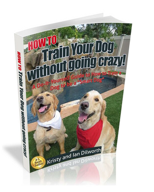 HOW TO Train Your Dog without going crazy!: A Do-It-Yourself Guide to How to Train a Dog to be a "Smart Dog"