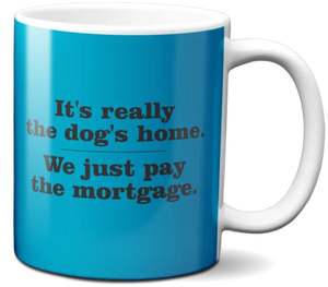 It's really the dog's home We just pay the mortgage